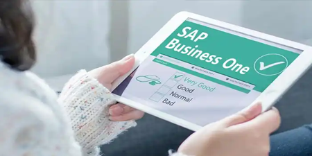 SAP B1 內(nèi)部錯誤，錯誤代碼對應(yīng)的原因說明